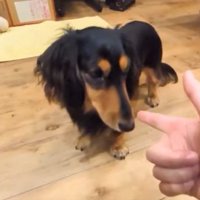 幼稚園