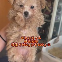 みらいちゃんが元気になるまで2