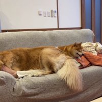 ママの上に全員集合！？