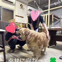 里親と大型犬
