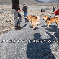 ソラくんまで！？