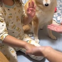手遊びをする娘さん