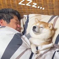 やっと眠れました♡