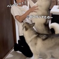 全身で喜ぶロロさん