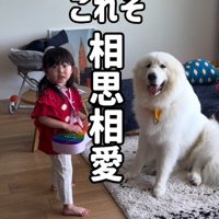相思相愛な2人にホッコリ