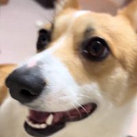 普段はこんなにキュート♡