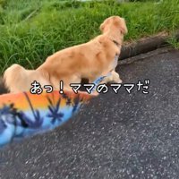 おばあちゃんを発見！