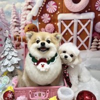 仲良し