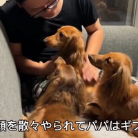 パパさんが負けて、マッサージ終了♪