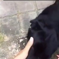 広いお庭でのびのび♪