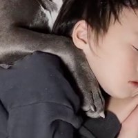 肩に前足を乗せる犬