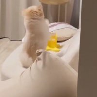 「もっと速くないとダメ？」