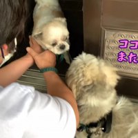 「またね」とご挨拶して帰宅