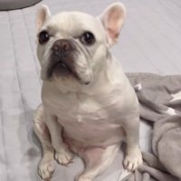 はなちゃんの体勢4