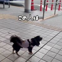 「お兄ちゃん…？？」