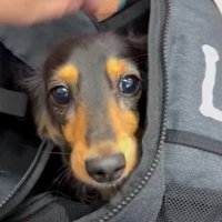 バッグ