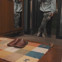 飛びついて熱烈歓迎♡
