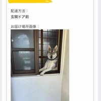 凛々しい表情にクスッ