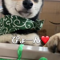 ピョコンと登場♡