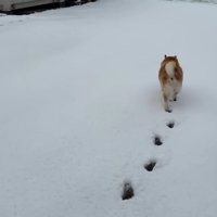 ポテポテとどこかへ…