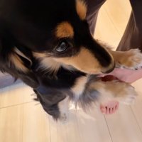 紬ちゃんのおねだり