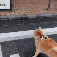 「行きましょうコンビニへ！」