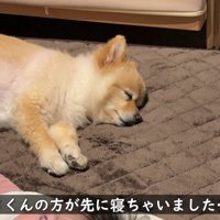 子育てお疲れ様！！