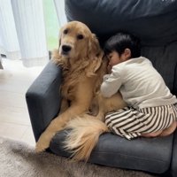 ACEくん「どうしよう…」