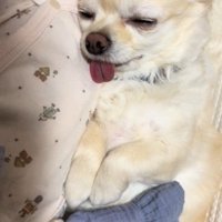また別の日には…