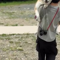 川を出たパパ