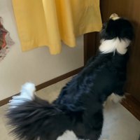 ドアの前でソワソワ…