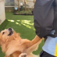 そら君とブリーダーさんの再会3