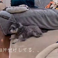 「ママ怒ってるなあ…」