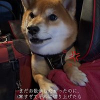 はなまる君の猛抗議