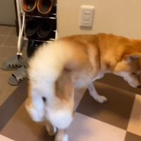 「来ない…」としょんぼり