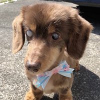 ずっと一緒だよ！