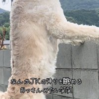見事に伸びている背筋