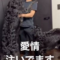パパに飛びつくボルゾイ