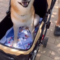笑顔が可愛い♡