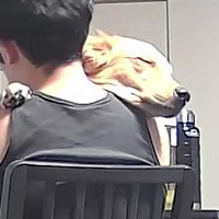 微笑ましい2人でした