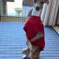 「お呼びでしょうか？」