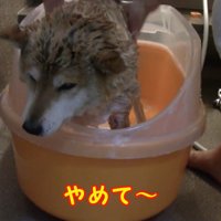 「おしりはやめて～っ」