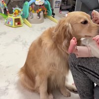 ほっと安心した様子