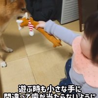 歯が当たらないよう気遣う