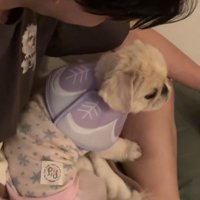 ママさんを無視