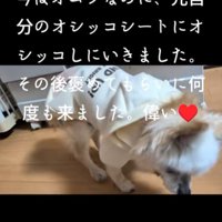 甘える姿が可愛い♡