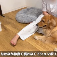 なかなか打ち解けてくれない