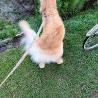 「おばあちゃん、お久しぶり～っ」