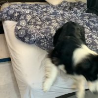 外で音がすると、再び窓の前へ！