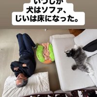 ニウちゃんとおじいちゃん2